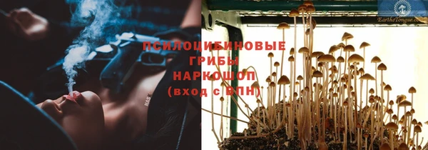 бошки Алексеевка