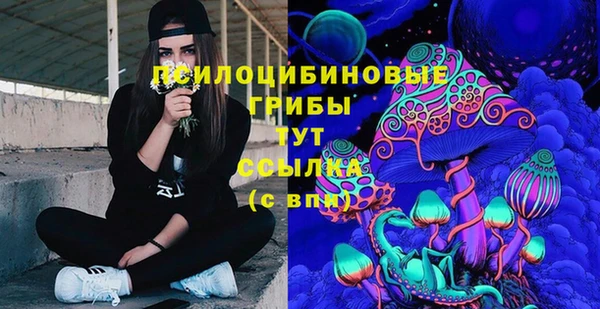 кокс Алексин