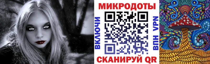 продажа наркотиков  blacksprut как зайти  Галлюциногенные грибы Magic Shrooms  Касли 
