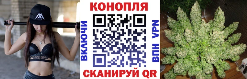 даркнет клад Касли МАРИХУАНА сатива даркнет сайт